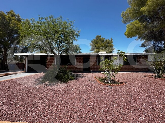 8175 E 20th St in Tucson, AZ - Building Photo - Building Photo