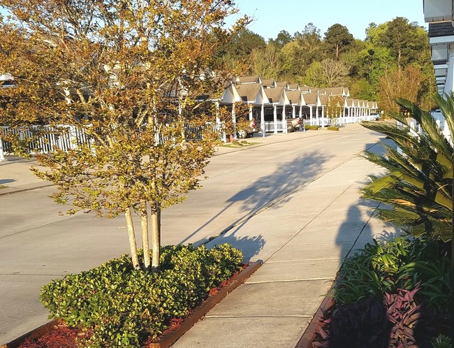 Village Maison Townhomes in Walker, LA - Building Photo - Building Photo