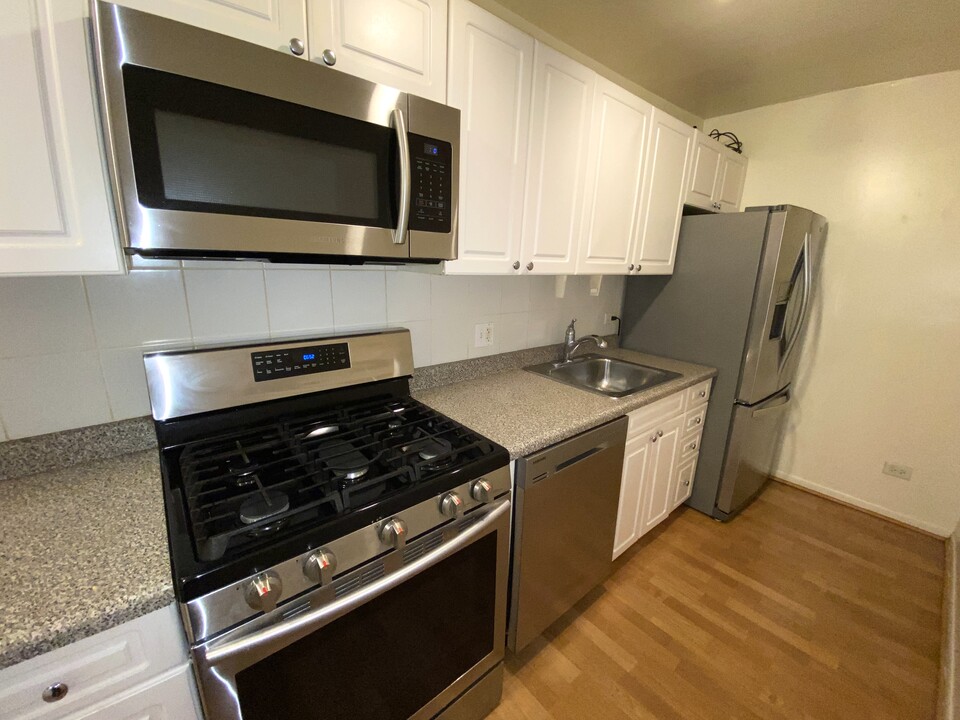 435 W Oakdale Ave in Chicago, IL - Building Photo