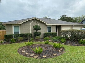 16107 Tibet Rd in Friendswood, TX - Building Photo