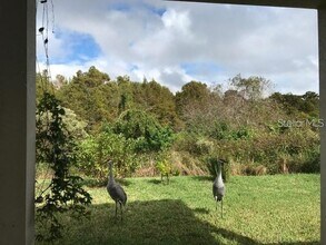 2886 Boating Boulevard in Kissimmee, FL - Building Photo - Building Photo