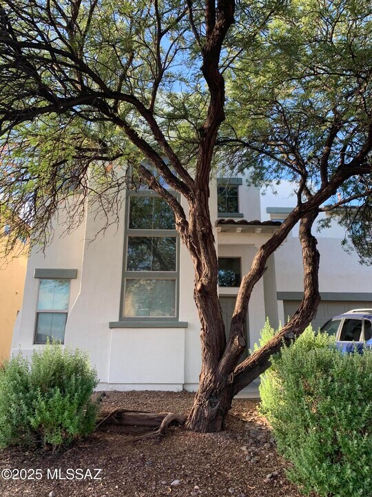 144 E Calle Del Rondador in Sahuarita, AZ - Building Photo