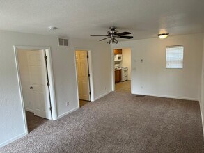 307 S El Paso St in Colorado Springs, CO - Building Photo - Building Photo
