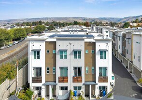 37335 Duckling Ter in Fremont, CA - Building Photo