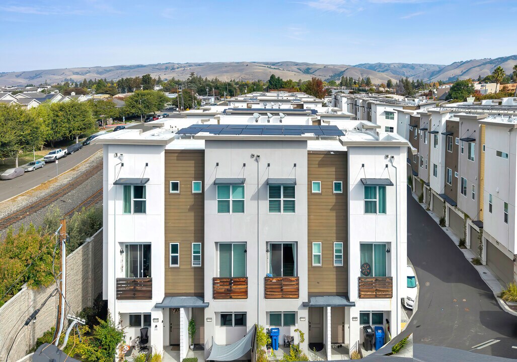 37335 Duckling Ter in Fremont, CA - Building Photo