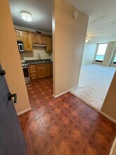 1000 N State St, Unit 48G in Chicago, IL - Building Photo - Building Photo