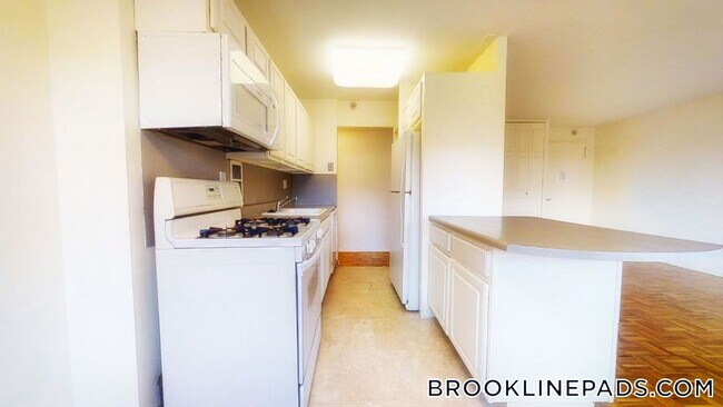 175 Freeman St in Brookline, MA - Building Photo - Building Photo