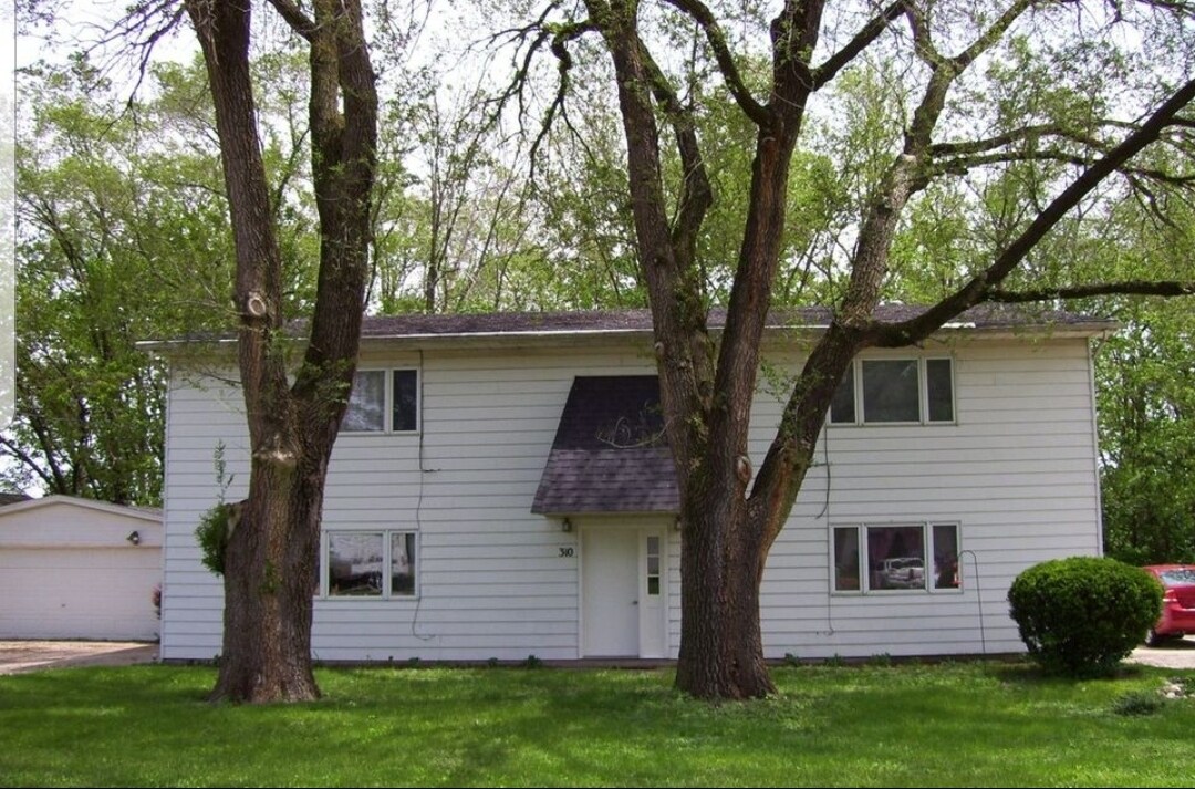 310 Ellen Ave, Unit 3 in Savoy, IL - Building Photo
