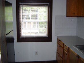 219 Stratford St in Houston, TX - Building Photo - Building Photo