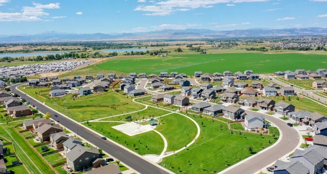 911 Camberly Dr in Windsor, CO - Building Photo - Building Photo