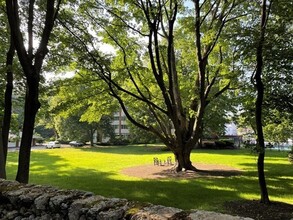 22 Chestnut Pl in Brookline, MA - Building Photo - Building Photo