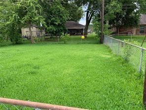 9723 Youngcrest Dr in Stafford, TX - Building Photo - Building Photo