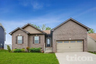 1041 Charles Thomas Dr in Clarksville, TN - Building Photo