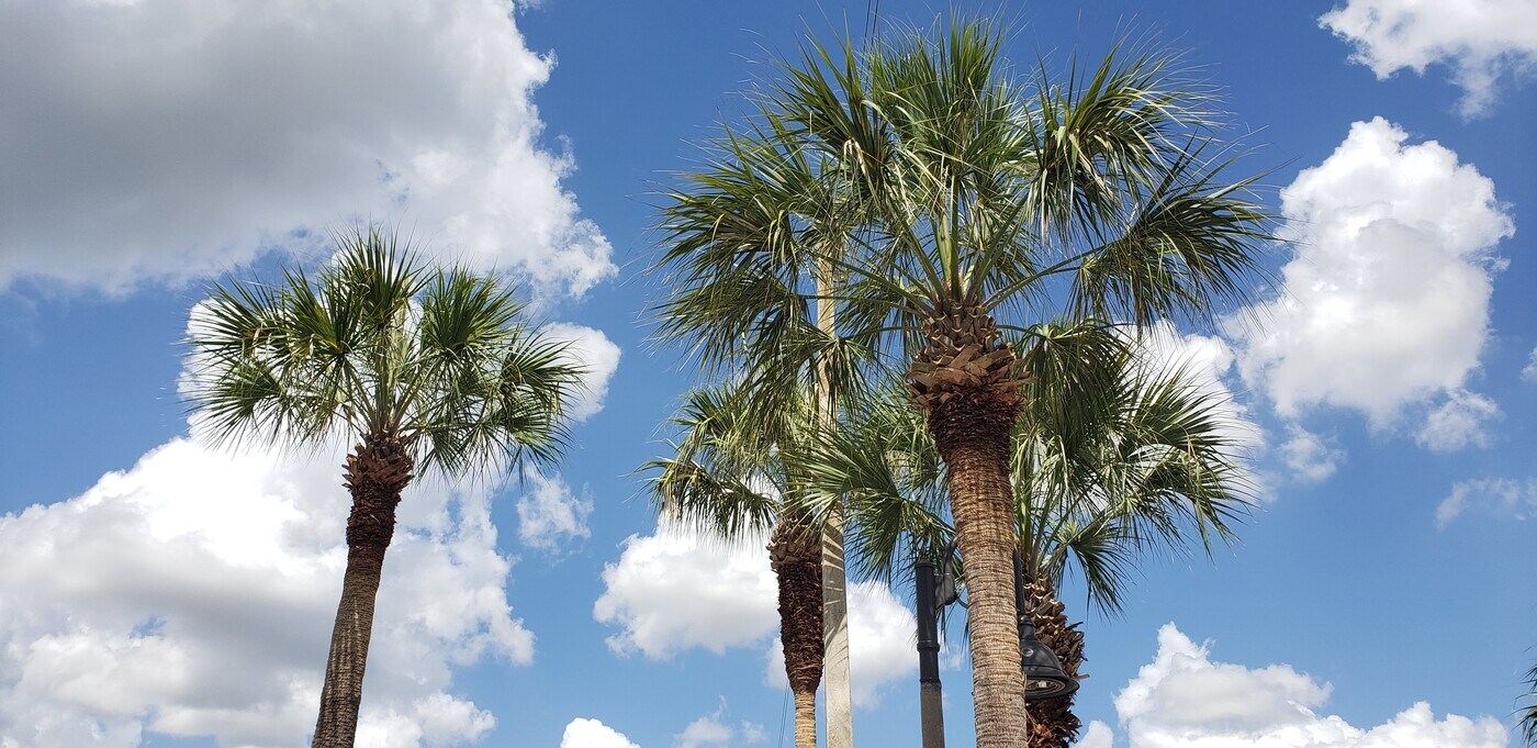 5700 NW 28th St, Unit 5700 in Lauderhill, FL - Foto de edificio