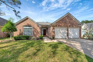 3915 Summerfield Dr in Pearland, TX - Building Photo