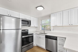 555 62nd St S in St. Petersburg, FL - Foto de edificio - Building Photo