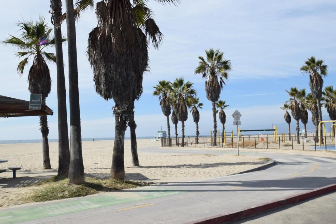 25 Thornton Ave in Venice, CA - Building Photo