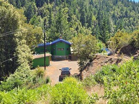 20250 Briceland Rd in Whitethorn, CA - Building Photo