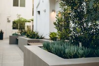 Building Photo - Vues on Gordon Apartments in Los Angeles, California