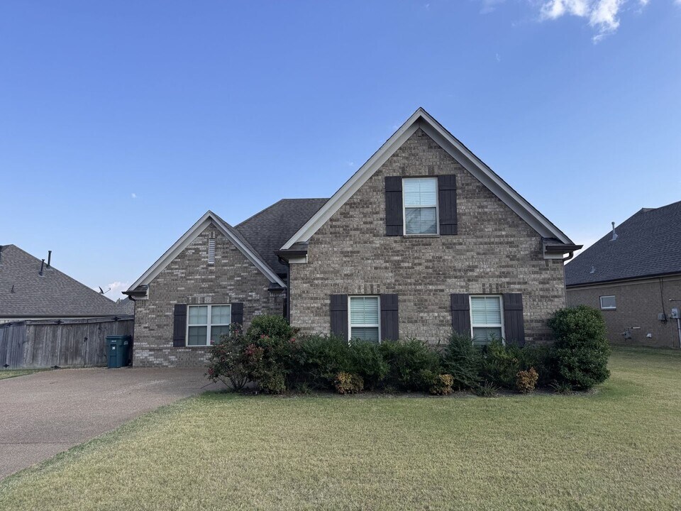 3812 Champion Hills Dr in Southaven, MS - Building Photo