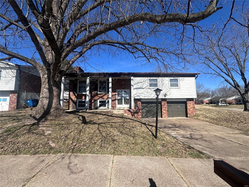 3809 Buckley Rd in St. Louis, MO - Building Photo