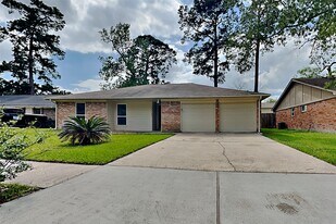 29107 Sedgefield St in Spring, TX - Building Photo