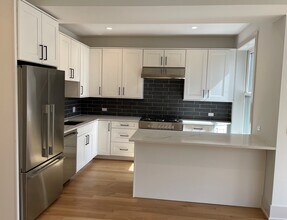 1508 W Addison St, Unit 1 in Chicago, IL - Building Photo - Building Photo