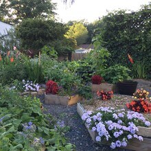 9 Chestnut Ln, Unit #3 in Brockton, MA - Foto de edificio - Building Photo