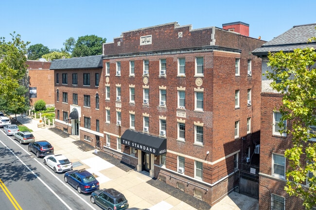 The Ivy