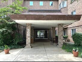 300 S Roselle Rd, Unit 307 in Schaumburg, IL - Building Photo