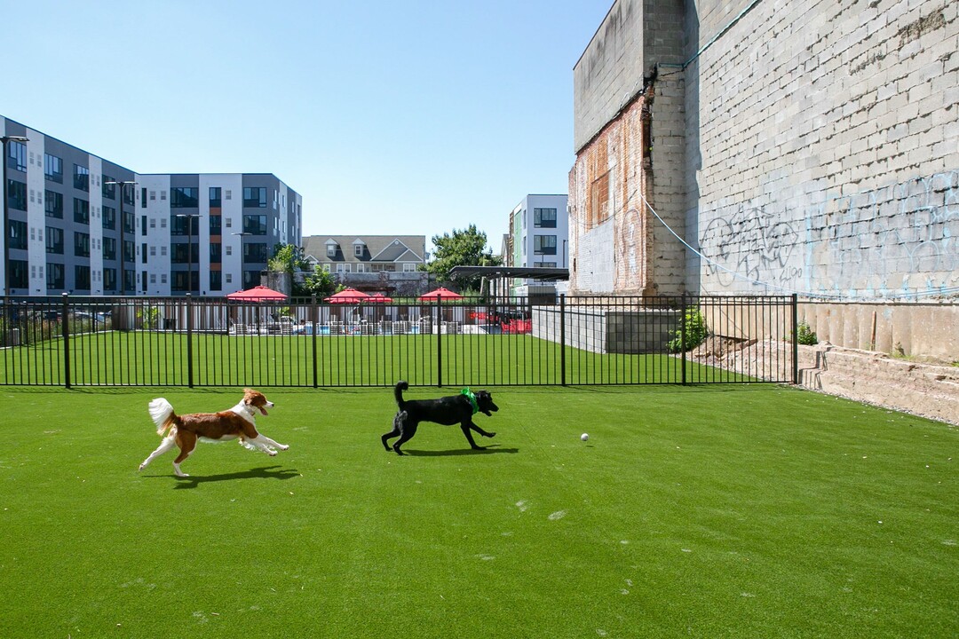 The Hub at 31 Brewerytown in Philadelphia, PA - Building Photo