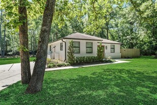 4884 Holly Ln W in Montgomery, TX - Building Photo