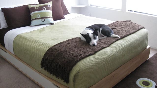 1441 Lincoln Ave, Unit Unit B in San Rafael, CA - Building Photo - Building Photo