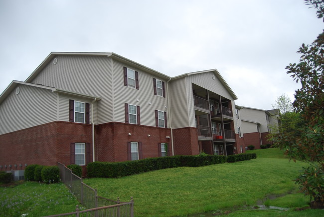 Meadow Oaks in Rainbow City, AL - Building Photo - Building Photo