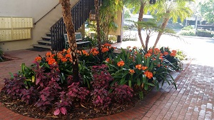 Monterey Pines in Santa Barbara, CA - Foto de edificio - Building Photo