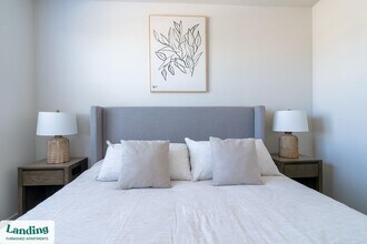 1148 Silber Rd, Unit 2439 in Houston, TX - Building Photo - Building Photo