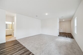 10035 Tiger Flower Ln in Houston, TX - Foto de edificio - Building Photo