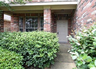 25215 Calico Woods Ln in Katy, TX - Foto de edificio - Building Photo