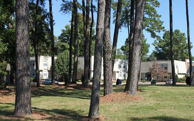 Colony Pines in Virginia Beach, VA - Building Photo - Building Photo