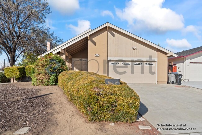 147 Wolfberry Ct in San Jose, CA - Building Photo - Building Photo