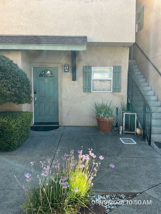 property at 37 Bridgegate Way