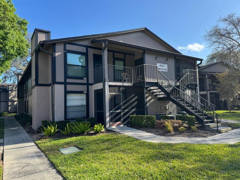 4024 Dream Oak Pl in Tampa, FL - Foto de edificio