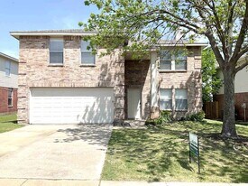 2536 Brinlee Branch Ln in McKinney, TX - Building Photo