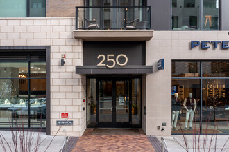 250 Columbine St in Denver, CO - Building Photo - Building Photo