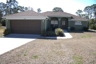 10107 Sunburst Ct in Spring Hill, FL - Building Photo