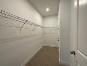 3220 Canna Lily Pl in Clermont, FL - Building Photo - Building Photo