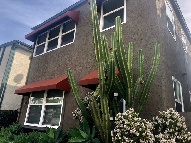 152 Ximeno Ave, Unit C