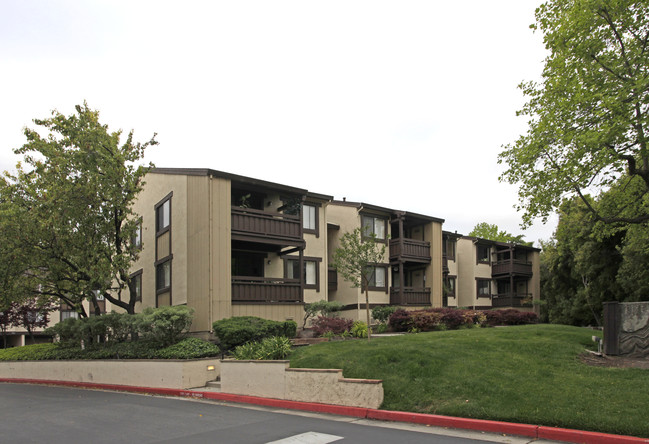 Greenhouse Condominium in Palo Alto, CA - Foto de edificio - Building Photo