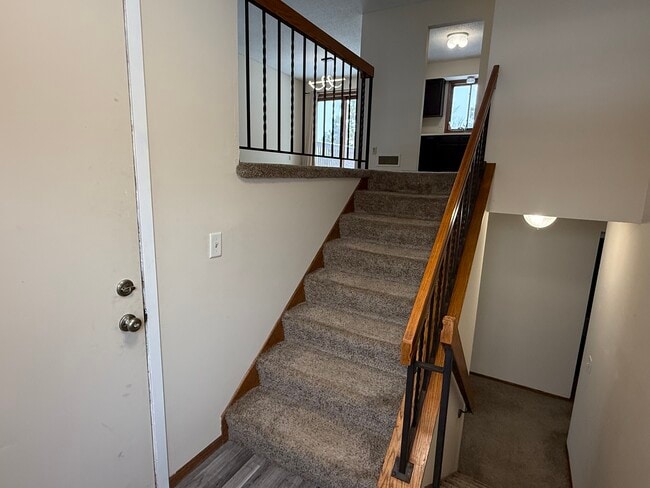 2528 Birchview Ln in Hopkins, MN - Building Photo - Building Photo