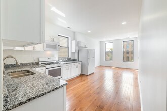 914 W 19th Plz, Unit 2 in Chicago, IL - Building Photo - Building Photo